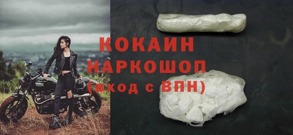 гашик Вяземский