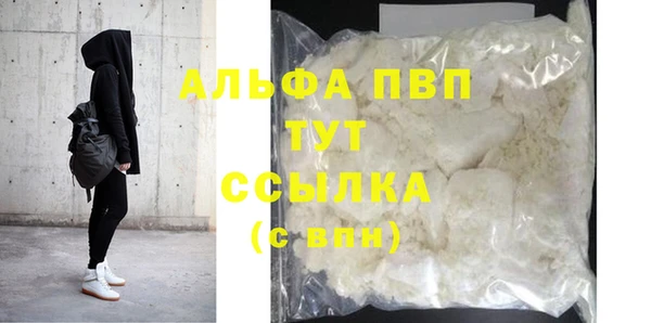 гашик Вяземский