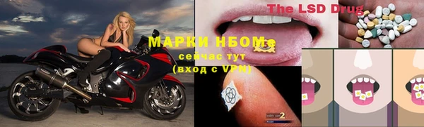 гашик Вяземский