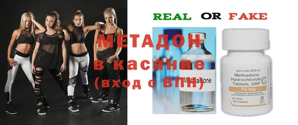 сатива Горняк