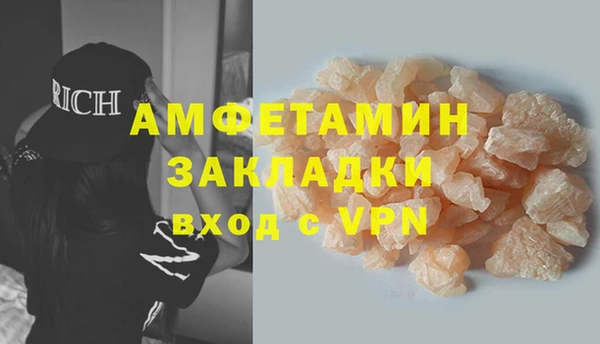 сатива Горняк