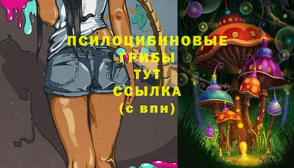 сатива Горняк