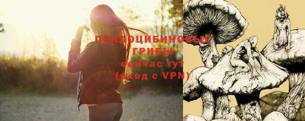 СК Володарск
