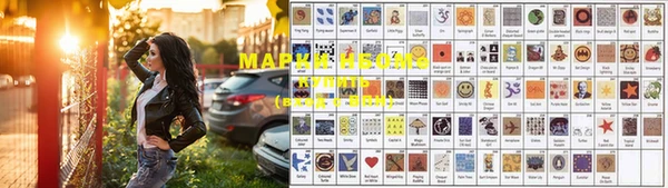 гашик Вяземский